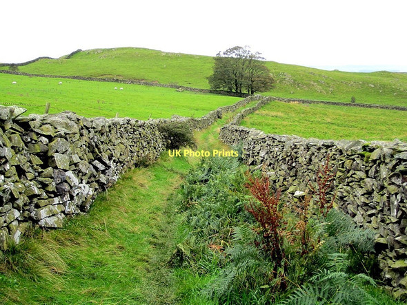 Photo 6"x4" Moughton Lane, Crummack Dale Wharfe c2011