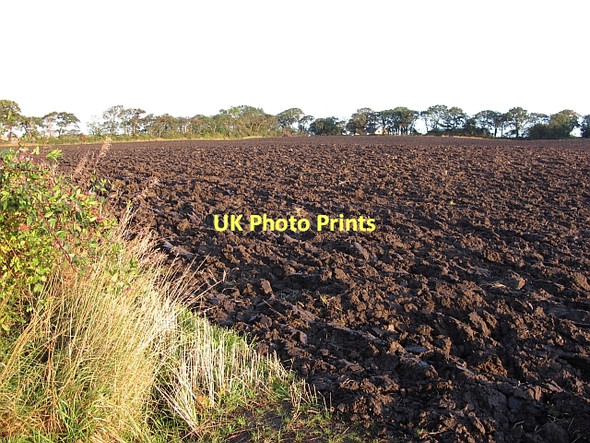 Photo 6"x4" Ploughed field, Walton Cauldcoats Holdings c2011