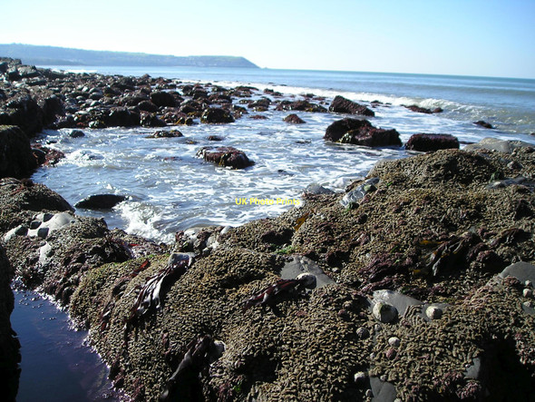 Photo 6"x4" Low spring tide Aberaeron c2011