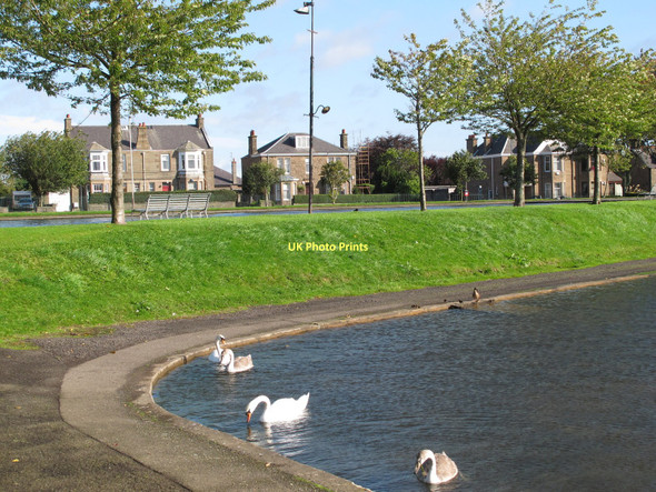Photo 6"x4" Swanny Ponds Fintry\/NO4133 c2011