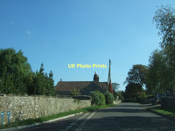 Photo 6"x4" The western edge of Edington Edington\/ST3839 c2011