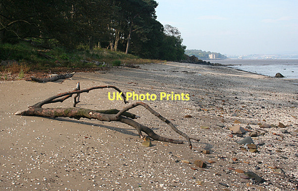 Photo 6"x4" Driftwood on the Beach Cramond c2011