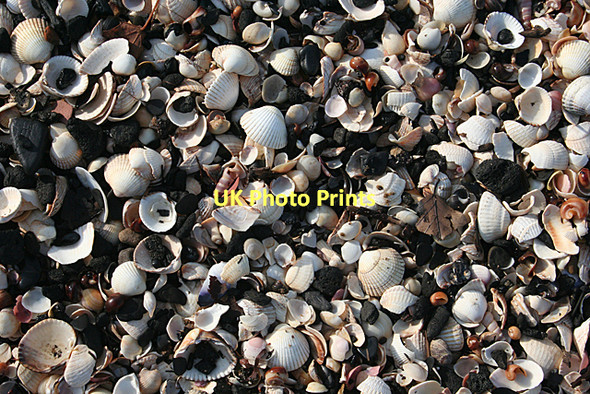 Photo 6"x4" Cockles and Coal Cramond c2011