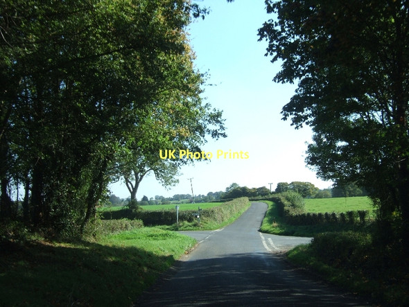 Photo 6"x4" Road junction at Limekiln Plantation Greinton c2011