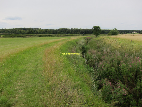 Photo 6"x4" Footpath along the River Kennett Moulton\/TL6964 c2011