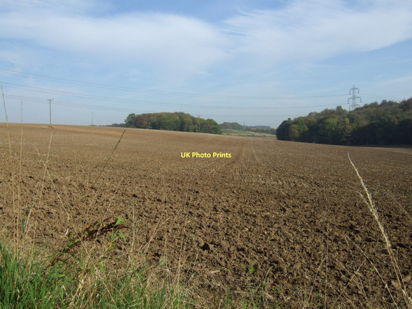 Photo 6"x4" Farmland off Back Newton Lane Ledsham\/SE4529 c2011