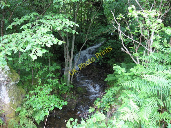 Photo 6"x4" Stream approaching Loch Creran Fasnacloich c2009