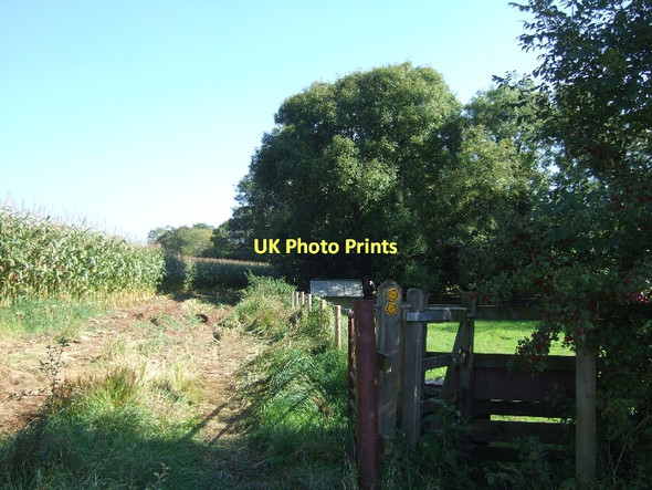 Photo 6"x4" Footpath near Woodford Bridge Wells c2011