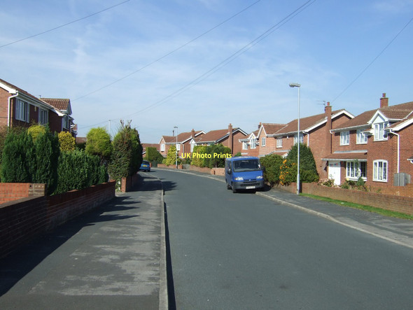 Photo 6"x4" Hillcrest Road Airedale\/SE4525 c2011