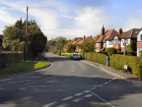 Photo 6"x4" Paddock Lane (B5160), Dunham Woodhouses Dunham Woodhouses c2011