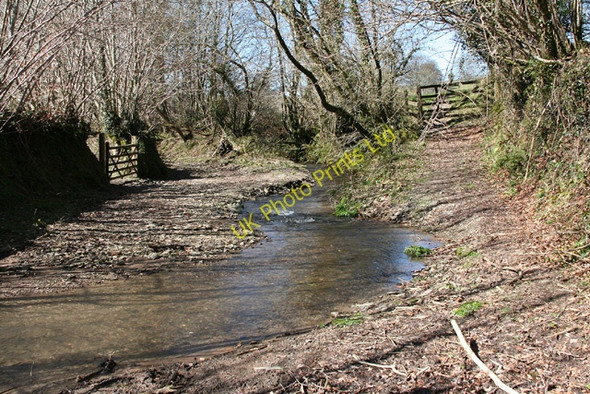 Photo 6"x4" East Anstey: ford on bridleway Waddicombe c2006