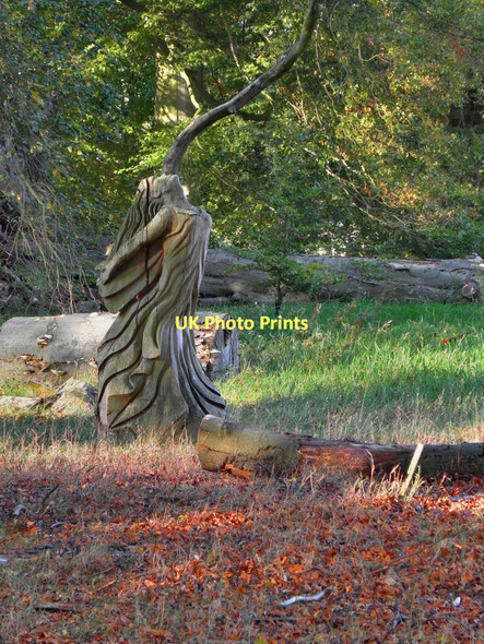 Photo 6"x4" Dunham Park, Wood fairy Altrincham c2011