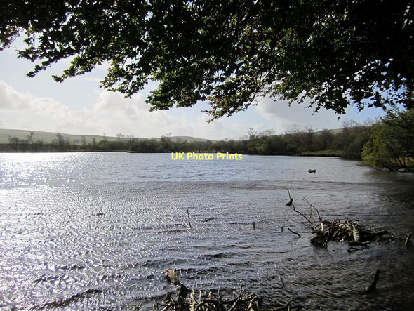 Photo 6"x4" North-west end of Malham Tarn from bird hide Water Houses\/SD8867 c2011