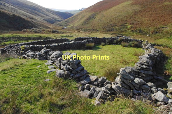 Photo 6"x4" Sheepfold below Swarth Greaves Howgill\/SD6396 c2011