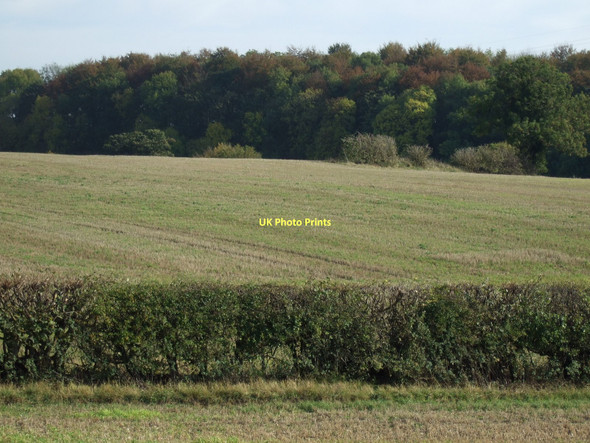 Photo 6"x4" Farmland off Holy Rood Lane Ledsham\/SE4529 c2011