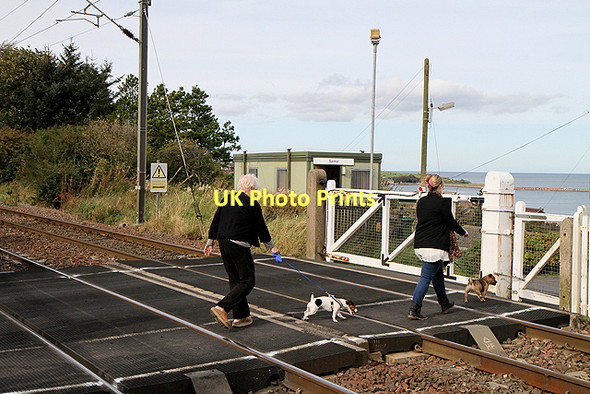 Photo 6"x4" Spittal Crossing on the East Coast Railway Line Berwick-upon-Tweed c2011