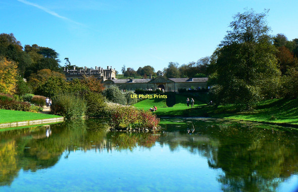 Photo 6"x4" Pond, Dyrham Park Dyrham c2011