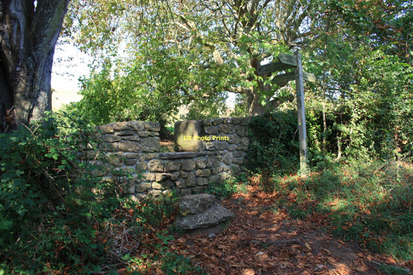 Photo 6"x4" Stile and stepping stone, Grove Lane, Abbotsbury Abbotsbury\/SY5785 c2011