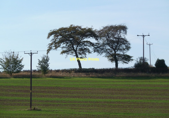 Photo 6"x4" Field and trees Shirebrook c2011