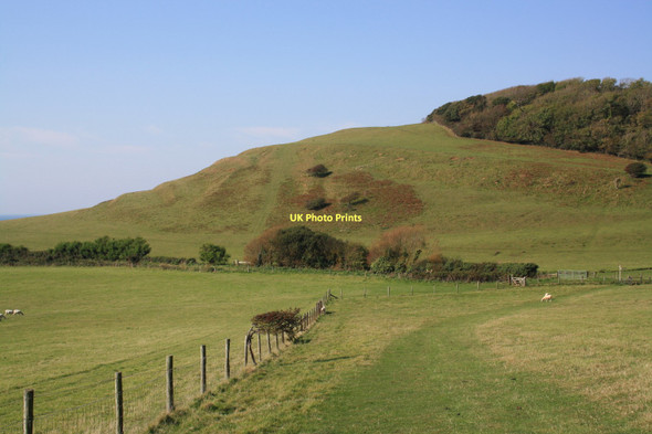 Photo 6"x4" Stavordale Wood and strip lynchets, Abbotsbury Abbotsbury\/SY5785 c2011