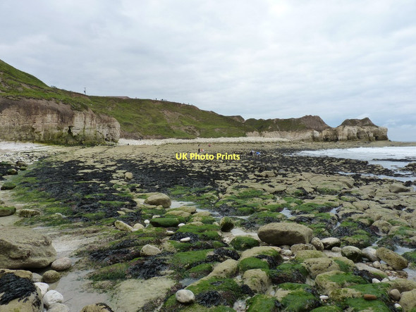 Photo 6"x4" Wave-cut platform, Thornwick Bay North Landing c2011
