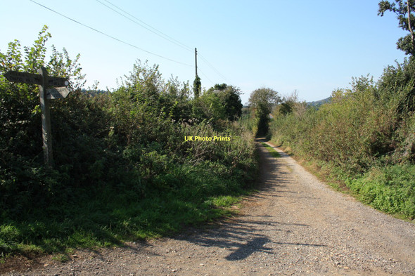 Photo 6"x4" Bridleway,  Abbotsbury Abbotsbury\/SY5785 c2011