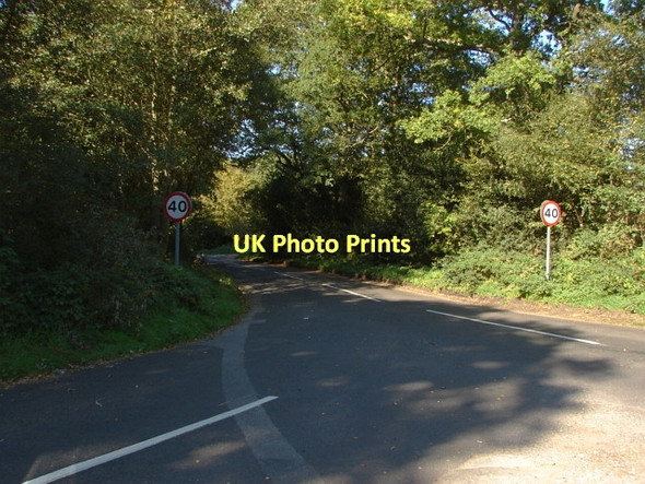 Photo 6"x4" Cobbett Hill Road Littlefield Common c2011