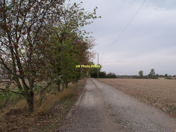 Photo 6"x4" Road to Wood Close Farm Ompton c2011