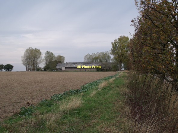 Photo 6"x4" Wood Close Farm Ompton c2011