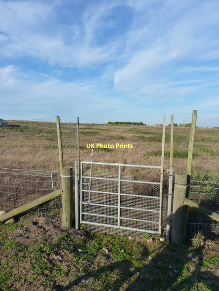 Photo 6"x4" Gate and bridleway at Foxlands Shipley\/SO8095 c2011