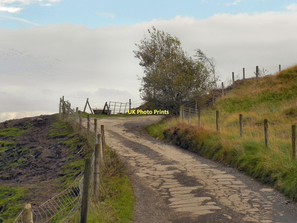 Photo 6"x4" Track at the end of Plantation Road Edgworth c2011