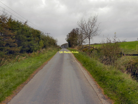 Photo 6"x4" Plantation Road Edgworth c2011