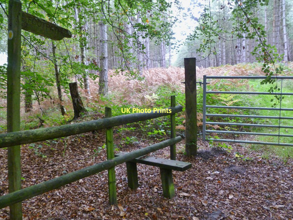 Photo 6"x4" Sandford, stile Sandford\/SU1601 c2011