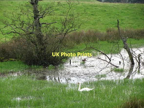 Photo 6"x4" Pond off the Banton Road Banton\/NS7579 c2011