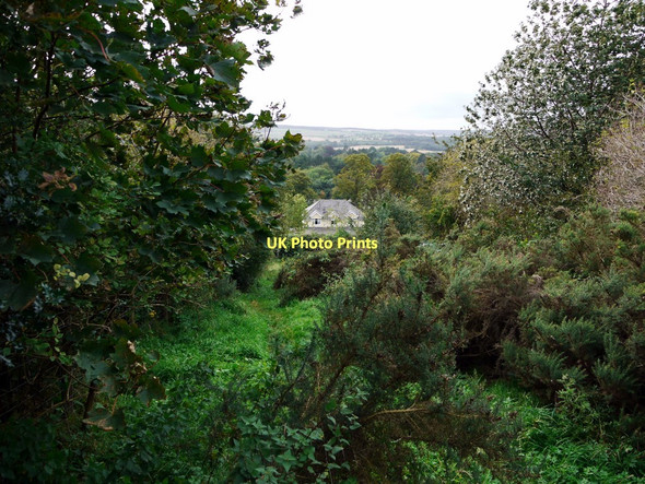 Photo 6"x4" Overgrown path near Mickley Common Painshawfield c2011