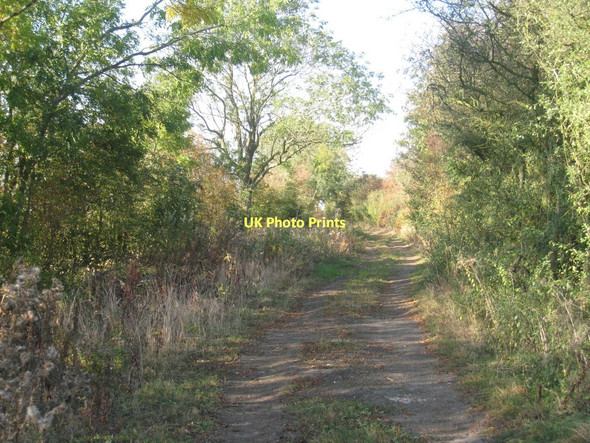 Photo 6"x4" Gipsy Lane Coates\/SK9183 c2011