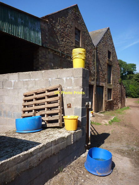 Photo 6"x4" Rural East Lothian : Blue and Yellow at Thurston Mains Innerwick\/NT7274 c2011