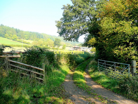 Photo 6"x4" Track to Trewadoc 2 White Rocks c2011