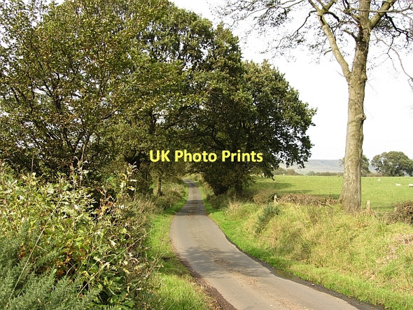 Photo 6"x4" Whin Loan Queenzieburn c2011