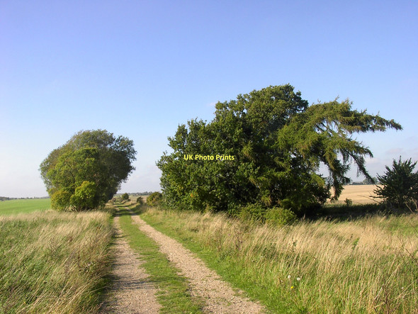 Photo 6"x4" Track of Old Railway East Ilsley c2011