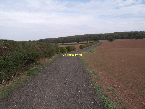 Photo 6"x4" Track off Wheatgrass Hill (A617) Hockerton c2011