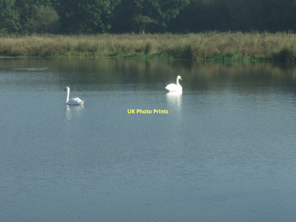 Photo 6"x4" Aston wetlands Aston-By-Stone c2011
