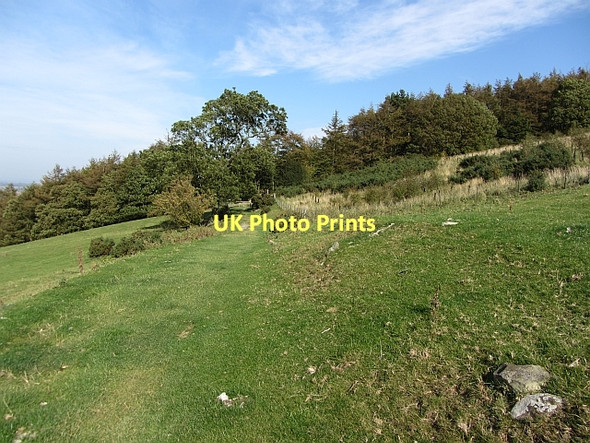 Photo 6"x4" Path, Chapel Wood Farm Osmotherley c2011