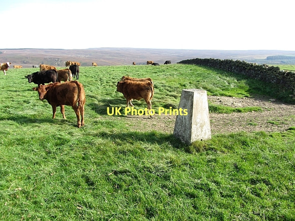 Photo 6"x4" Arncliffe Wood triangulation pillar Ingleby Cross c2011