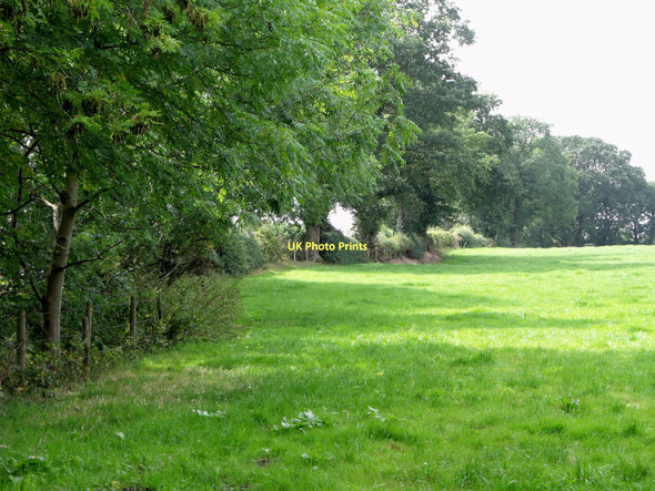 Photo 6"x4" Pasture off Batemill Lane, Jodrell Bank Blackden Heath c2011