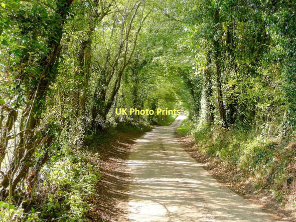 Photo 6"x4" Lane to Kentchurch Kentchurch c2011