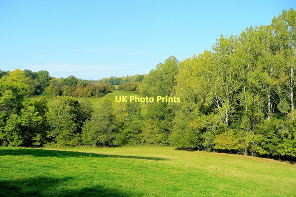 Photo 6"x4" Pasture and woods Cross Llyde c2011