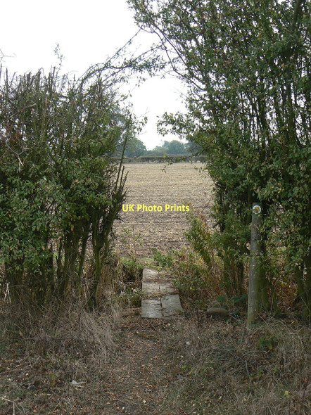 Photo 6"x4" Footpath through the hedge Cropwell Bishop c2011