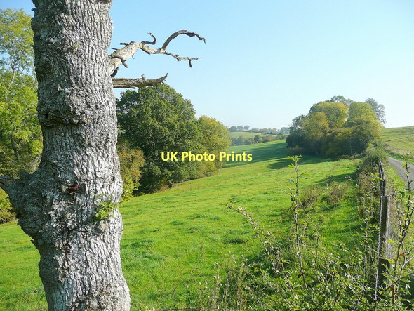 Photo 6"x4" View towards Llanithog Bagwyllydiart c2011