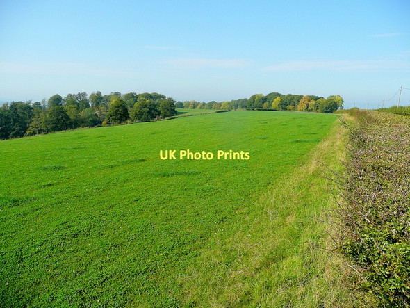 Photo 6"x4" Herefordshire pasture land Cross Llyde c2011